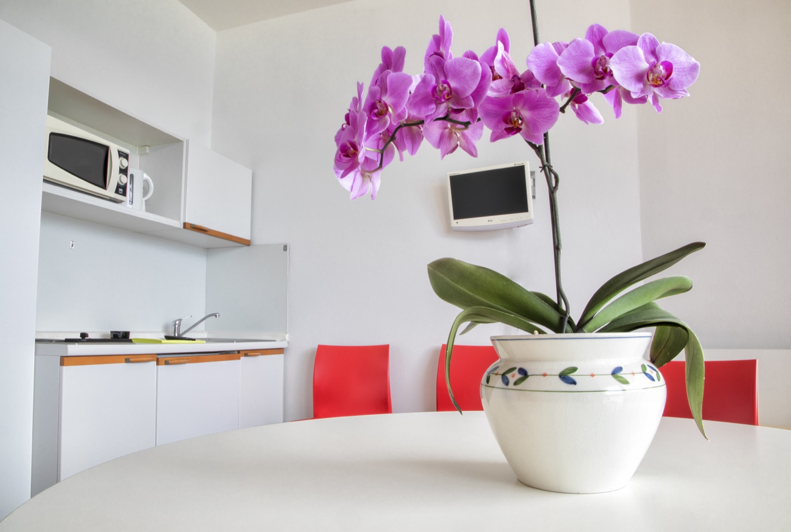 Zweizimmerwohnung Seeblick Typ B, Wohnzimmer